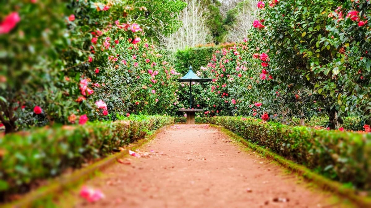 Parque Lineal Río Grande